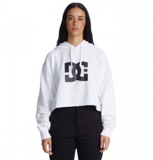Mikina s Kapucnou DC Shoes Cropped 2 Damske Biele | 583467GLH