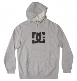Mikiny DC Shoes DC Star Panske Siva | 673154WEC