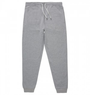 Nohavice DC Shoes Riot 2 Sweatpants Panske Siva | 631549EFN