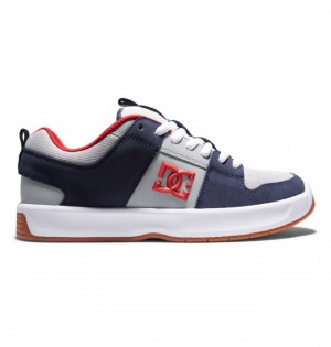 Tenisky DC Shoes Lynx Zero Skate Jahmir Brown Panske Námornícka Modrá Siva | 596407MVP