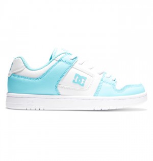 Tenisky DC Shoes Manteca 4 Damske Biele Modre | 967120FYJ