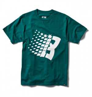 Tricko DC Shoes Bronze56K x DC Star Heritage Panske Zelene | 304178UES