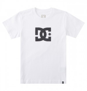 Tricko DC Shoes DC Star Detske Biele | 482659ZID