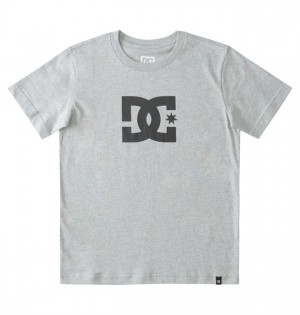 Tricko DC Shoes DC Star Detske Siva | 239864BFD