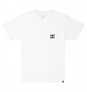 Tricko DC Shoes DC Star Panske Biele | 261483LYG