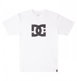 Tricko DC Shoes DC Star Panske Biele | 820751KPE