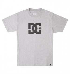 Tricko DC Shoes DC Star Panske Siva | 012489YXM