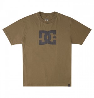 Tricko DC Shoes DC Star Panske Tmavo Zelene | 931085UWC