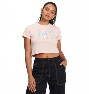 Tricko DC Shoes Star Cropped Damske Ruzove | 201867YMO