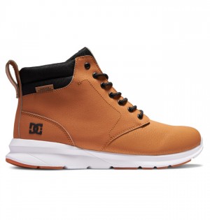 Zimne Topanky DC Shoes Mason 2 Vody Resistant Panske Hnede Čierne | 671580FVO