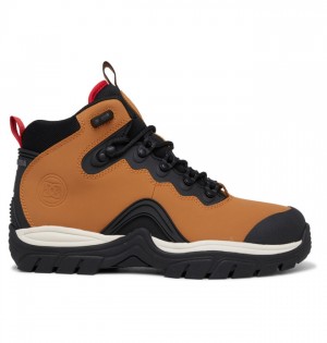 Zimne Topanky DC Shoes Navigator Cipkovane Panske Hnede Čierne | 961037SCQ