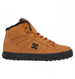 Zimne Topanky DC Shoes Pure High-Top Panske Hnede Čierne | 623819JIN