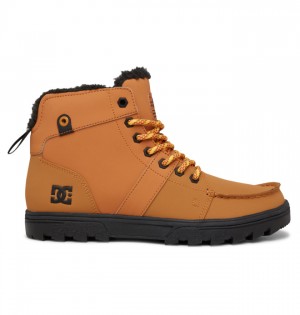 Zimne Topanky DC Shoes Woodland Panske Hnede | 089526NCL
